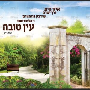 פוסטר ‘אדרבה’ אדרבה עם כיתוב חסד א’ מודגשת – בנות