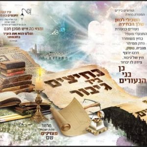 פוסטר ‘כלי זין’