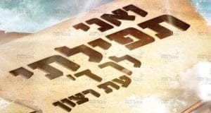 פינת “ואני תפילתי” | ‘כלי זין’
