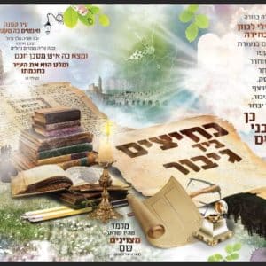 פוסטר ‘כלי זין’ צבעוני