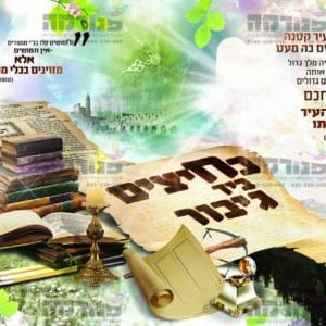 פוסטר ‘כלי זין’ צבעוני לכיתה ח’
