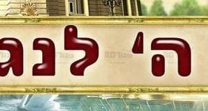 פינת שויתי | ‘ארמון מלוכה’