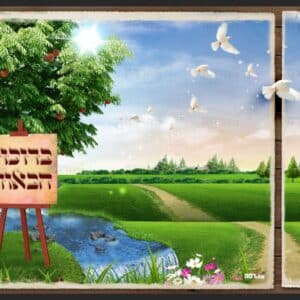 כעץ שתול ברוכות הבאות מחולק