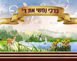 פוסטר ‘ברכי נפשי’ בלי שערים