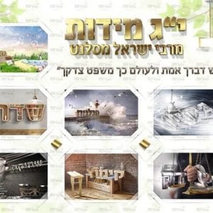 פוסטר ‘יג מידות’ |ברקע בהיר