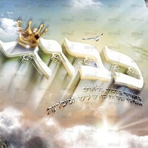 פוסטר ‘כבוד’ | יג מידות