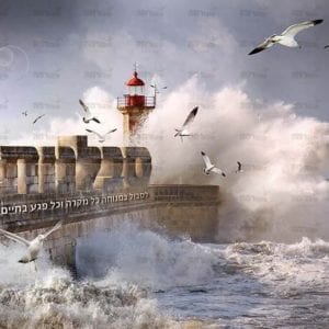 פוסטר ‘סבלנות’ | יג מידות