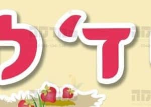 פוסטר ‘שיויתי ד” | תותית