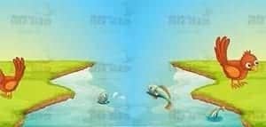 בורדר לכיתות בנים | סדרת טבע
