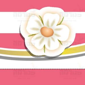 פוסטר ‘בורדר’ | סדרת תותית