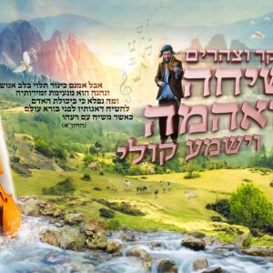 אבל אמנם כינור עם כיתוב ורוד ואיש למעלה