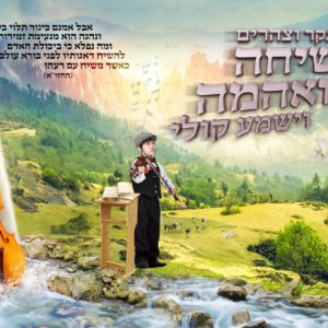 פוסטר ‘אבל אמנם כינור’ עם ילד