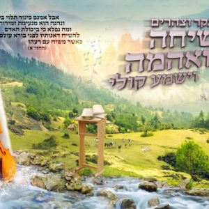 פוסטר ‘אבל אמנם כינור’ עם סטנדר
