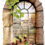 1253K חלון השיבנו 70-100