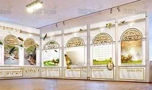 פינת ‘נושא’ | הוי עז כנמר