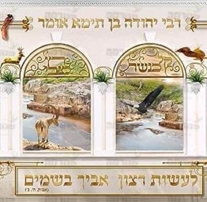 פינת ‘טבע’ | הוי עז כנמר