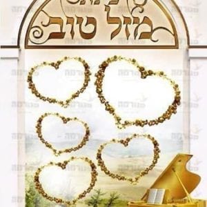 פינת ‘מזל טוב’ | הוי עז כנמר