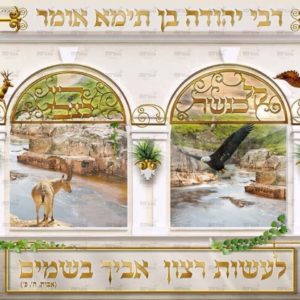 פוסטר ‘עז כנמר’ עם וילונות