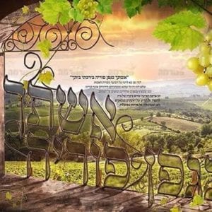 פוסטר ‘אשתך כגפן’