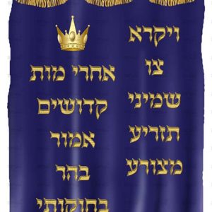 פוסטר ‘פרוכת ויקרא’ | ארון קודש