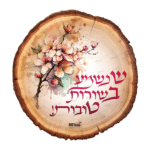 - 20-20 שנשמע בשורות טובות לתצוגה