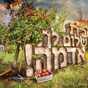 פוסטר 'שבת שלום לך אדמה' | שמיטה