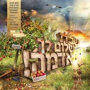 פוסטר 'שבת שלום לך אדמה' לגובה | שמיטה