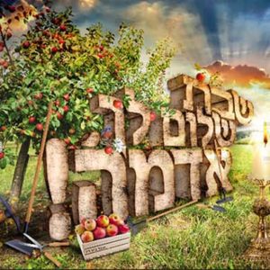 פוסטר ‘שבת שלום לך אדמה’ משולב ערכי השמיטה | שמיטה