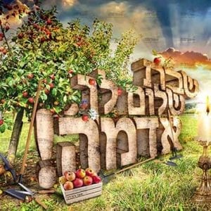 פוסטר 'שבת שלום לך אדמה' משולב חותמת | שמיטה