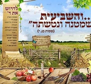 פוסטר 'והשביעית תשמטנה' בשדה חיטה | שמיטה