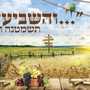 פוסטר 'והשביעית תשמטנה' בשדה חיטה - מחולק | שמיטה