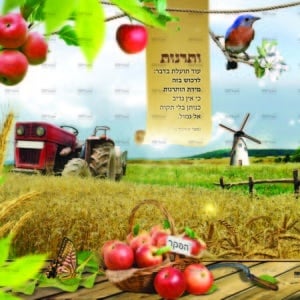 פוסטר 'והשביעית תשמטנה' בשדה חיטה - מחולק | שמיטה