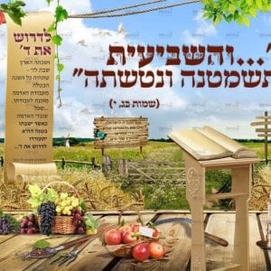 פוסטר 'והשביעית תשמטנה' בשדה חיטה | שמיטה
