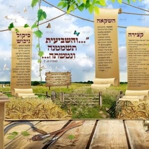 פוסטר 'והשביעית תשמטנה' בשדה חיטה - עבודות האדמה | שמיטה
