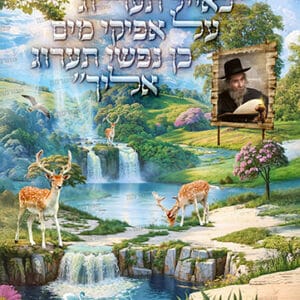 פוסטר ‘כאיל תערוג’ לגובה