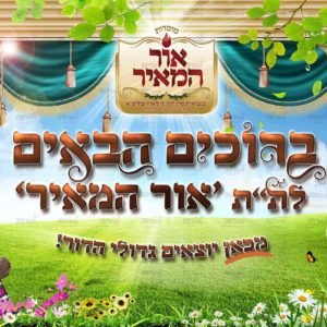 פוסטר ‘ברוכים הבאים לת”ת’