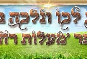 ברוכים הבאים לביה”ס