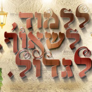 פוסטר ‘ללמוד לשאוף לגדול’ עם מובאות | אהבת תורה