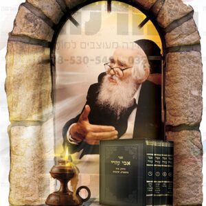 הרב שך