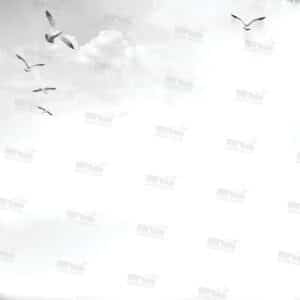 דף רקע שביל ש-ל בלי שורות