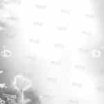 DR004_BW2 דף רקע שימי לב לתצוגה