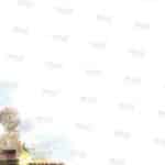 DR1005_C1 דף רקע כלי זין לתצוגה
