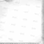 DR1026_BW1 דף רקע שיר המעלות לתצוגה