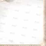 DR1026_C1 דף רקע שיר המעלות לתצוגה
