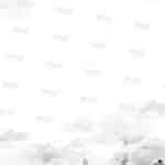 DR2010_BW3 דף רקע שימני כחותם לתצוגה