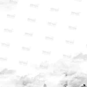 דף רקע שימני כחותם ש-ל בלי שורות
