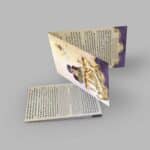 latest-postcard-mockup copy