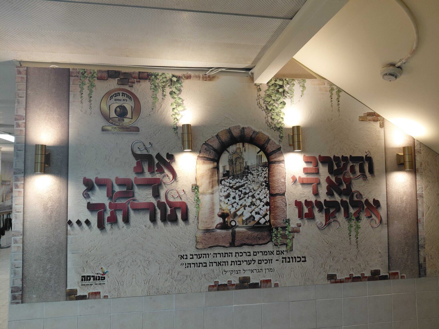 עיצוב כניסה לבית ספר, בית שמש - פנורמה מהשטח, פרק 11