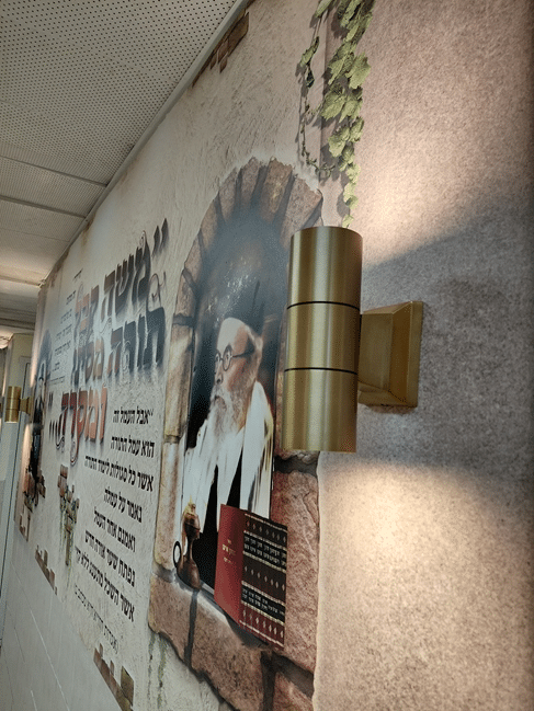 עיצוב כניסה לבית ספר, בית שמש - פנורמה מהשטח, פרק 11
