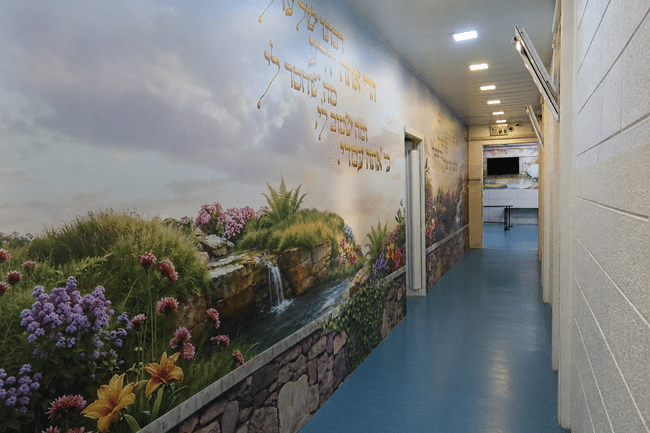 עיצוב מסדרון צר וארוך - פנורמה מהשטח, פרק 12